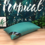100% puuvillane Hilton Solid Color Home Pillow Manufacturers Direct Pillow 5star Hotel Pillow Core vaakumkompressioon pakend 48*74cm Middle pillow750g