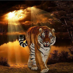 Teemanttikandid Ristpistes DIY Teemantmaal T&auml;ielik teemanttiigri kividest kodukaunistus Full Round 20x20CM