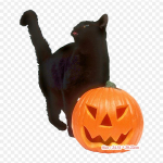 Must kass Halloweeni multikas Cat Jack O' Lantern Triikraud soojus&uuml;lekandel tr&uuml;kkimine Vin&uuml;&uuml;lplaastrid kleebis riietele Ise ise teha aplikatsioonid pestavad plaastrid