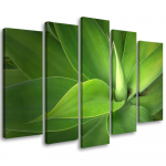 Viieosaline pildil&otilde;uenditr&uuml;kk Green Leaf Plants 100x70 roheline
