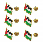 6 tk Palestiina n&ouml;&ouml;pn&otilde;el Palestiina rahvuslipp pross, suveniir&uuml;likond, isiksus metallist emailiga m&auml;rk, ehe kingitus 6 pcs with a set