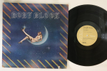 LP plaat RORY BLOCK - Rory Block APL10733 RCA VICTOR 1975 USA Rock Kasutatud