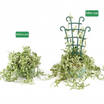 2tk Mini aias kasvavate taimede ronimisriiul Trellis K&ouml;&ouml;giviljad Lilled Toetavad Potiraam Aia dekoratiivsed taimede puurid