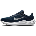 Nike Winflo 10 College Navy Metallic Silver Meeste Tennised Sinine Platinum-Toon Must DV4022-400 43
