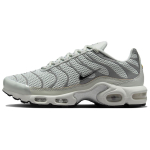 Nike Air Max Plus Hele H&otilde;be Naiste Tennised Hall Kroom Hele Luu FV8480-002 36 gray