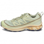 Salomon XT-6 Expanse Alfalfa Shortbread Meeste tossud Roheline Aloe-Wash L47445600 43⅓