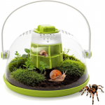 Tigu Terrarium Kasvatuskast, Plastikust &Uuml;mar Tigu Elupaik, L&auml;bipaistev S&ouml;&ouml;tmiskast &Otilde;huavade ja Eemaldatava P&otilde;hjaga, V&auml;ikeste Putukate S&ouml;&ouml;tmiskast K&auml;rbseid Jne roheline