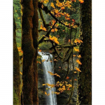 Tikandid Diamond Full Drill 5D Anime Picture Kodukaunistused Ristpistes 20X30CM