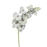 1 tk Lihtne hooldada Kunstlik liblikas orhidee mood Eluj&otilde;uline lilleseade Kunstlill lilla