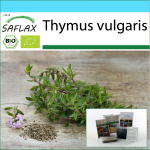SAFLAX - Kingikomplekt - Orgaaniline - T&uuml;&uuml;mian - 800 seemet - Koos kinkekarbi, kaardi, etiketi ja potisubstraadiga - Thymus vulgaris