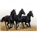 DIY 3D teemantmaaling Loomade hobuste tikandid Ristk&auml;sit&ouml;&ouml; Kodukaunistus Full Round 20x25CM