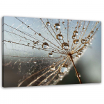 Feeby l&otilde;uenditr&uuml;kk, kastepiiskades puhur 60x40 hall v&auml;rv