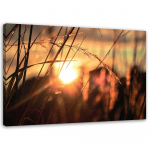 L&otilde;uenditr&uuml;kk Grass Sunset Nature 60x40 oranž