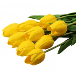 10 tk Home Party Decor Kunstlikud Real Touch kunstnahast tulbid kollane