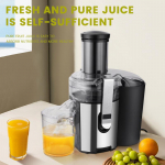 Algne mahlapressi j&auml;&auml;kide mahla eraldamine majapidamises kasutatav multifunktsionaalne mahlapress Aeglase jahvatusega v&auml;ike mahlapress