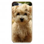 Oppo realme 6 7 7i 6i c3 jaoks Xiaomi poco F3 F2 M3 Pro HTC U11 U12 Plus l&auml;bipaistev TPU &uuml;mbris I Love My Malta koera kutsikad realme c3