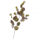 Pulmakaunistused Kunstiline &otilde;rn dekoratiivne r&otilde;du tagaaia simulatsioon taim v&otilde;lts eukal&uuml;pt 5