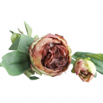 Kunstlill Elav Mitte-n&auml;rtsiv Kunstsiid Retro Pojengi Oks Simulatsioon Lill Magamistuba valge