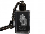 Norwegian Forest - Crystal pendant with cat photo, illuminated pendant, unique gift by Art-Dog brand