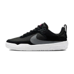Nike Day One SB GS Must Valge Laste tossud Cool-Grey Anthracite FN4210-002 33.5 black