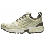 Salomon ACS Pro GORE-TEX Vanilla Ice Green Haze Meeste tossud Cream Stone-Grey L47736200 44⅔