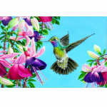 Rhinestones tikandid Rubiku kuubik Humming Bird 5D Teemantmaaling Teemanttikandid Kingitus Teemant 20X30CM