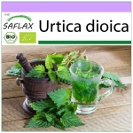 SAFLAX &ndash; Mahe &ndash; N&otilde;ges &ndash; 2000 seemet &ndash; Urtica dioica