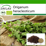 SAFLAX &ndash; Orgaaniline &ndash; Oregano &ndash; 1500 seemet &ndash; Potisubstraadiga paremaks kasvatamiseks &ndash; Origanum heracleoticum