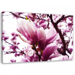 L&otilde;uenditr&uuml;kk Magnolia Tree Pink 60x40 roosa
