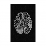 L&otilde;uenditr&uuml;kk Inimese anatoomia Kunstiteos Seinakunst Plakat Skelett Organ Lihass&uuml;steem Vintage Kodu Dekoratsioon 21x30cm No Frame