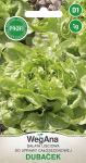 Dubaceki salat 1g salatiseemneid - WegAna
