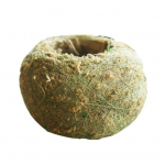 Moss Design lillepott sukulentsete taimede konteiner Koduaia kohviku kaunistus roheline