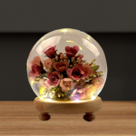 with Wood Base Display Case Decorative Jar Clear Collectibles Dustproof Jewelry Birthday 10cm