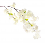 Kimp siidist pulmakaunistus 4 oksaga v&otilde;ltslillega kunstlik sakura kirsi&otilde;ieline kodukaunistus tumeroosa v&auml;rv