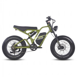Fafrees F20 ULTRA 750W maastiku-e-jalgratas, 48V 25Ah aku, 20 &times;5.0 paksud rehvid, topeltvedrustus, Shimano 7-k&auml;iguline, LCD-ekraan, topeltketaspidurid, IPX5 48V 750W 25Ah Disc Brakes roheline