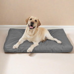 Dog Bed Cover Crate Mattress Hair Easy to Remove Oxford Cloth Pet Mat Cushion 76cmx51cmx10cm