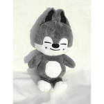 50cm Uus SKZOO Stray Kids Huang Xuanchen FM Mi JINRET BANGCHAN HAN Paar Laste Pl&uuml;&uuml;snukk Festivali Kingitus BBOKARI 50cm