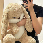 Suur suurus vihane j&auml;nes pehmem&auml;nguasi armas loom pehmem&auml;nguasi nukk Kawaii t&auml;idisega pehmed m&auml;nguasjad mudelruumi dekoratsioon s&uuml;nnip&auml;evakingitused 45cm