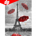 5D Diy Daimond Painting Full Pictures  Punane vihmavari  Diamant Mosaiic Tikand Rhinestones 20X30