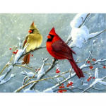 T&auml;isruudukujuline 5D DIY Teemantv&auml;rvimine Auto ristpistes Uus saabumine Teemanttikandid Multifilm Mosaiik Talvine j&otilde;ulukink 20X30CM punane