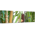 Kolmest pildist koosnev komplekt l&otilde;uendiprindiga Bamboo Zen Spa 90x30 roheline