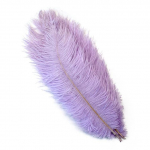 10 tk. V&auml;rvilised kohevad jaanalinnusuled Naturaalsete sulgedega kaunistused pulmadeks Kodu Vaasid Laua keskosa kaunistus k&auml;sit&ouml;&ouml; 15-20cm 6-8inch