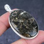 Natural Turtilla Fossil Gemstone Handmade 925 Sterling Silver Pendant 2.25 h7f32