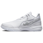Nike Zoom LeBron NXXT Gen AMPD Valge Metallik H&otilde;be Unisex Tossud Hele Suitsuhall FJ1566-102 41