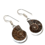 Ammonite Fossil Gemstone Handmade 925 Sterling Silver Jewelry Earring 1.58 k7d39