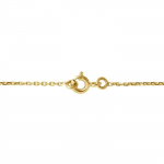 Cha&icirc;ne - L&Eacute;A & ARTHUR - Grand Mod&egrave;le - Or Jaune 375 - Longueur 30 cm - Maille For&ccedil;at