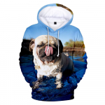3D mopsi kapuutsid Meeste naiste kampsunid Harajuku kapuuts Pullover Kuum s&uuml;gis 3D mops kapuutsiga vabaaja poiste t&uuml;drukute t&auml;navar&otilde;ivad M