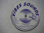 12-tolline plaat ALISON HEMMING , NAPH-TALI , JESSE - Happiness Forgets / No Do Me Dat VS002 Vibes Sounds 198- UK Reggae, Ska & Dub Kasutatud