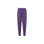 Jordan Flight MVP soonikuga fliisvoodriga kootud dressip&uuml;ksid Meeste Alaosad Lilla FB7028-502 L
