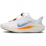Nike Air Zoom Pegasus 41 EasyOn 'Blueprint Pack' Meeste HM0374-900 EU 40